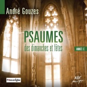 Psaume 120 "Le secours me viendra du Seigneur" (29ème dimanche du temps ordinaire, année C) artwork