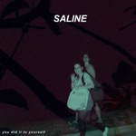 Saline - Fast and Great