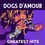 Dogs D'Amour - Empty World