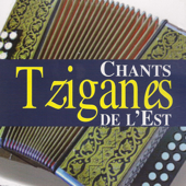 Chants tziganes de l'Est - Various Artists