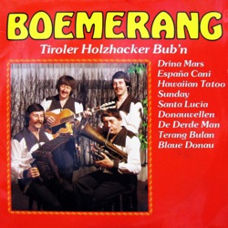 Boemerang - Tiroler Holzhacker Bub'n