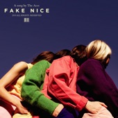 Fake Nice - Single