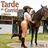 Tarde de Corridos y Música Ranchera, Vol. 1