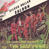 Silver Dollar Saloon (feat. Gary Lane & Chris Beckett) artwork