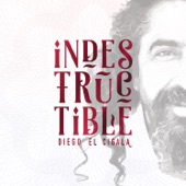 Diego El Cigala - El Paso de Encarnación feat. Oscar D'Leon & Luis "Perico" Ortiz