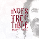 Indestructible - Diego El Cigala
