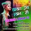 Dalwaib Labhar Se - Single album lyrics, reviews, download