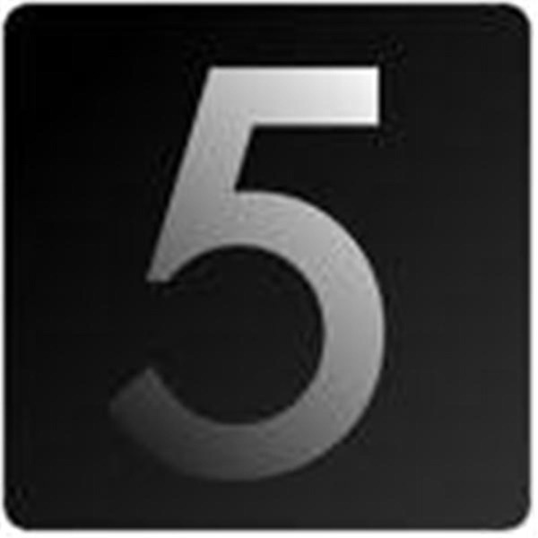 5 Top is 5 People on 5 Topics, with swearing. cover