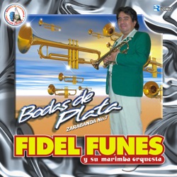 FIdel Funes Y Su Marimba Orquesta - El Barbarazo