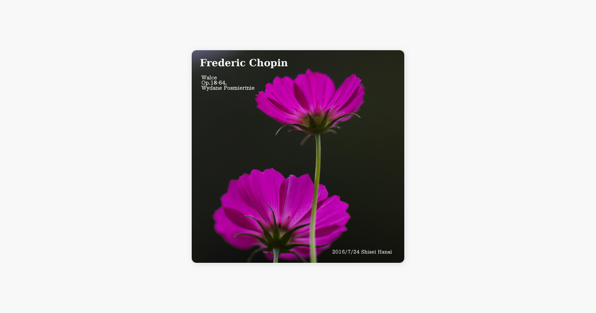 Frederic Chopin Waltzes By Shisei Hanai