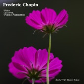 Frederic Chopin Waltzes artwork