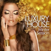 Luxury House Winter Session (Deep & Cool Beats Finest Selection) artwork
