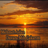 Duvara Mıh Çakarım - Mehmet Aslan