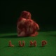 LUMP cover art