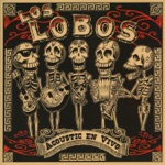 Los Lobos - Saint Behind the Glass