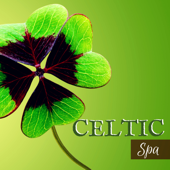 Celtic Spa - A New Journey into Relaxation with Nature Sounds Music and Irish Harp - Celtic Music Band & Spa Music Relaxation Meditation