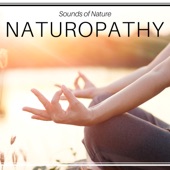 Naturopathy - Sounds of Nature, Biofeedback, Autogenic Training, Healthy Sleep, Breathing Exercises, Long Relaxation artwork