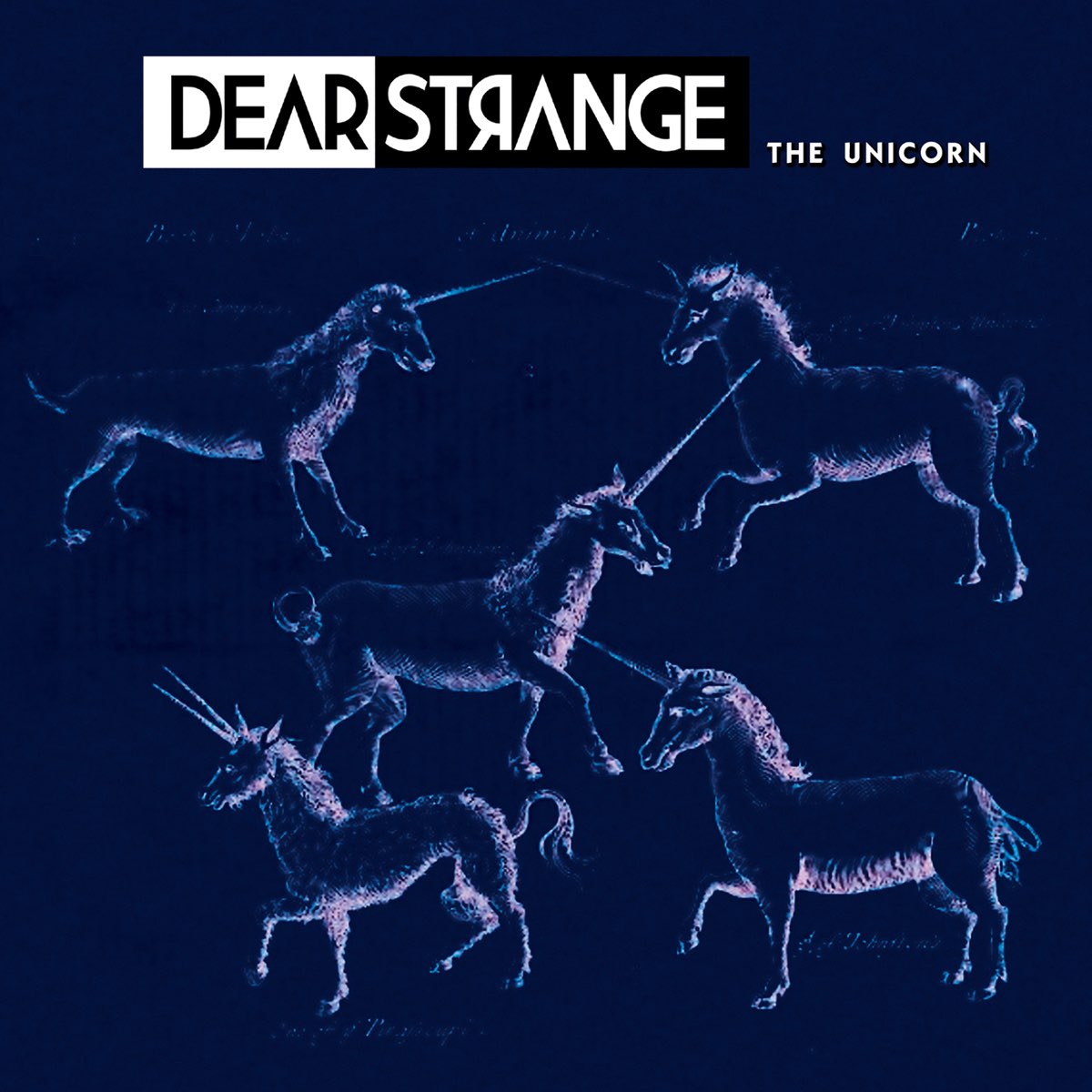 Dear Strange.