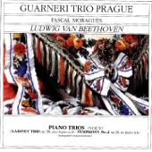 Piano Trio in E-Flat Major, Op. 38: III. Tempo di menuetto artwork