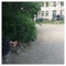 Another World - The Rumble Strips lyrics