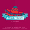 Juan Gabriel Un Homenaje