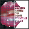 Big Room Essentials Vol.03