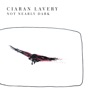 Ciaran Lavery - Shame