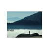 Sense - Everybody's Favourite (Everybody's Favourite)