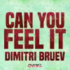 Stream & download Can You Feel It - Single