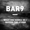 What You Gonna Do / Before the Storm - Single