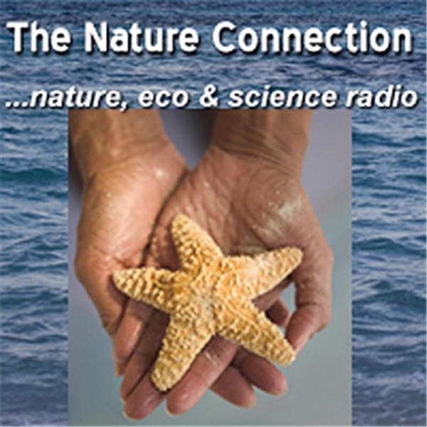 The Nature Connection cover