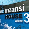 House Afrika Presents Mzansi House, Vol. 3