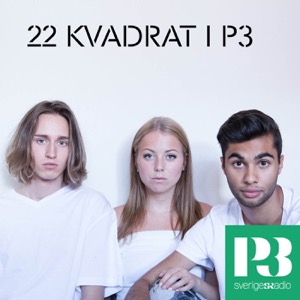 22 Kvadrat i P3