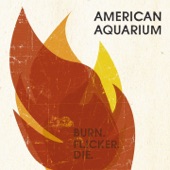 American Aquarium - _Burn Flicker. Die.