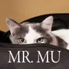 Mr. Mu - Single album lyrics, reviews, download
