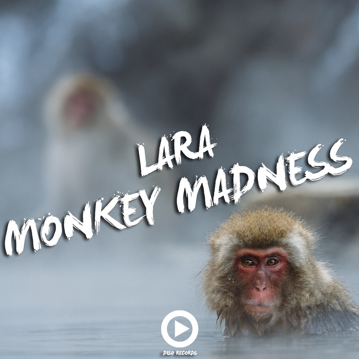 Monkey песня слушать. Monkey Madness. Манки песня. Maple Monkey Madness. Monkey Listening Music.