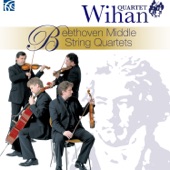 Wihan Quartet - String Quartet in F Major, Op. 14, No. 1: I. Allegro moderato