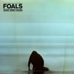 Albatross (Lake Turner Remix) - Single - Foals