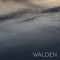 Walden - Vacancy lyrics