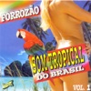 Forrozão Som Tropical do Brasil, Vol. 1