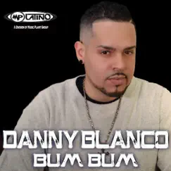 Bum Bum (Reggaeton Mix) Song Lyrics