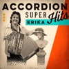 Accordion Super Hits, 2015