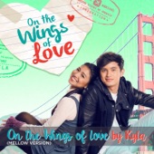 On the Wings of Love (Mellow Version) artwork