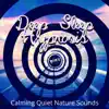 Deep Sleep Hypnosis:Calming Quiet Nature Sounds, Therapy Healing Sleep Songs, Soothing and Relaxing Ocean Waves, White Noise, Insomnia Cure album lyrics, reviews, download