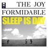 The Joy Formidable - The Last Thing on My Mind