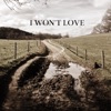 I Won't Love - Single