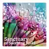 Sanctuary of Soothing Reiki - Discover Inner Silence, Reach for Harmony, Meditation for Transformation, Deep Mental Therapy album lyrics, reviews, download