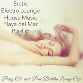 Erotic Electro Lounge House Music Playa del Mar Playlist artwork