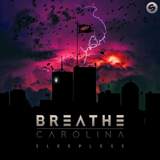 Cover artwork for Stable