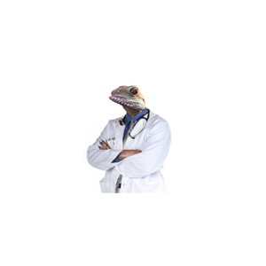 Dr. Lagartón Ep 05 Temp 2: El mito de la cajuela